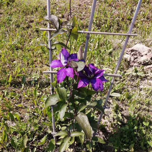 превью изображения отзыва