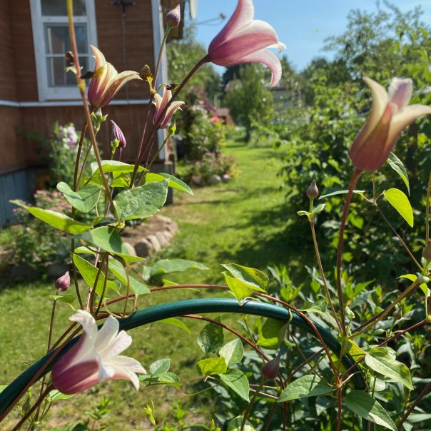 превью изображения отзыва