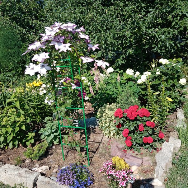 превью изображения отзыва