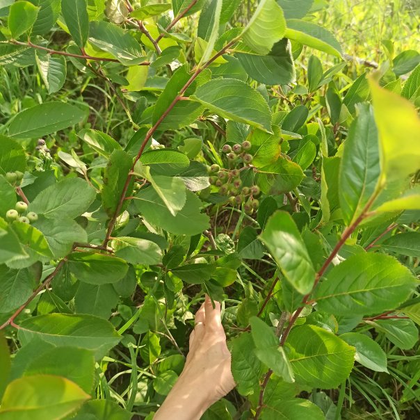 превью изображения отзыва