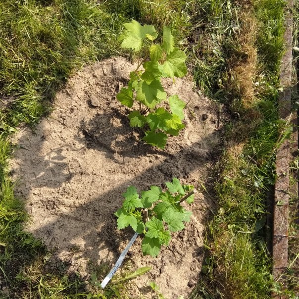 превью изображения отзыва