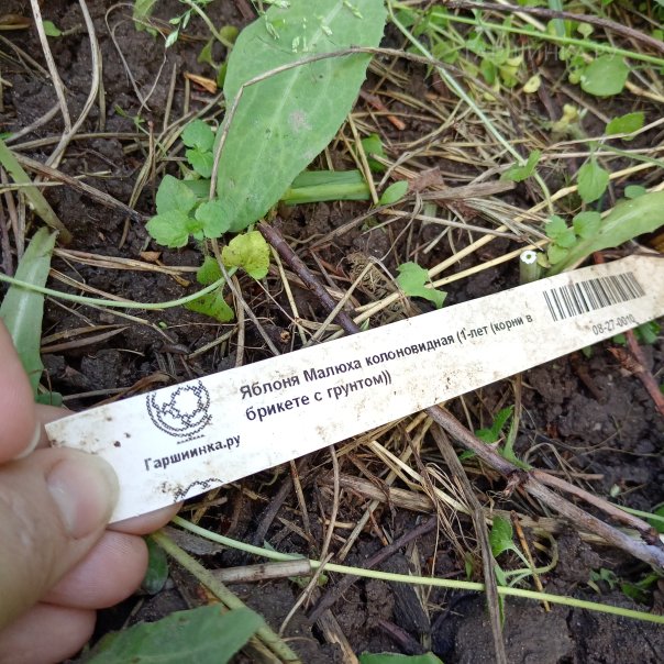 превью изображения отзыва