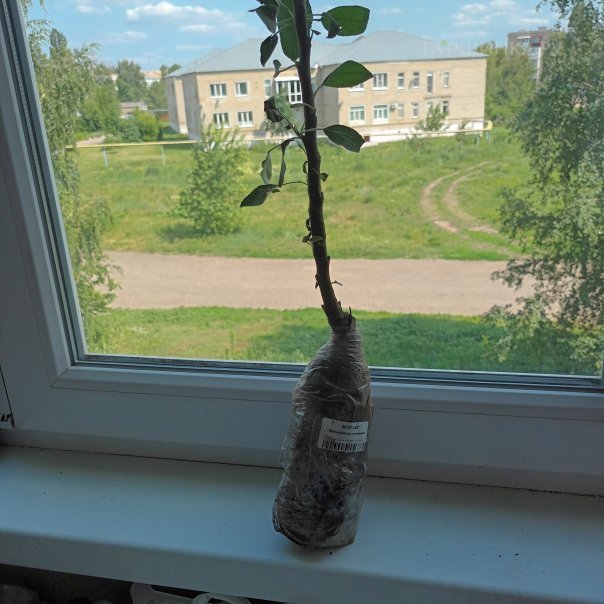 превью изображения отзыва