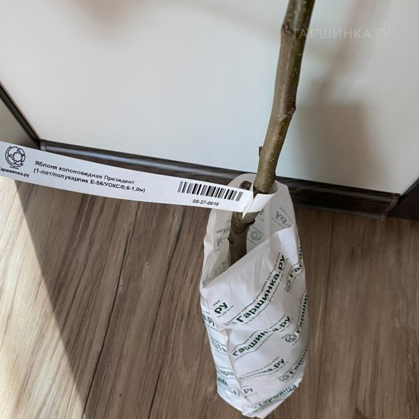 превью изображения отзыва