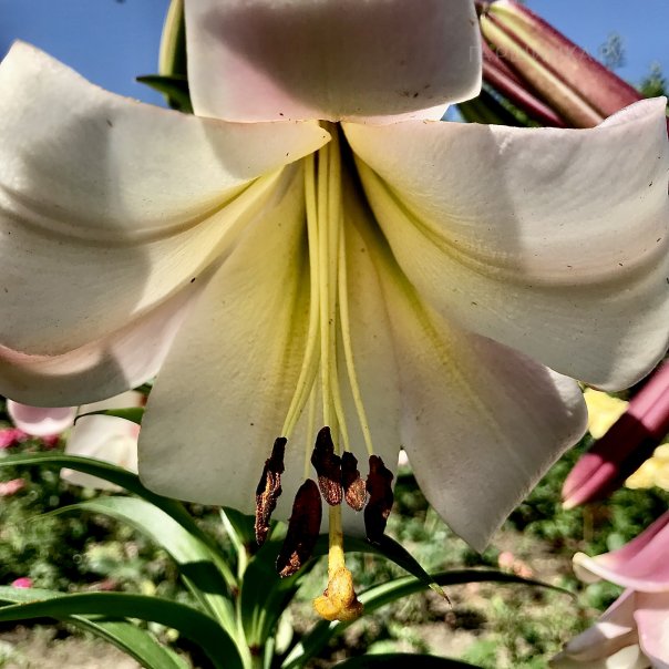 превью изображения отзыва