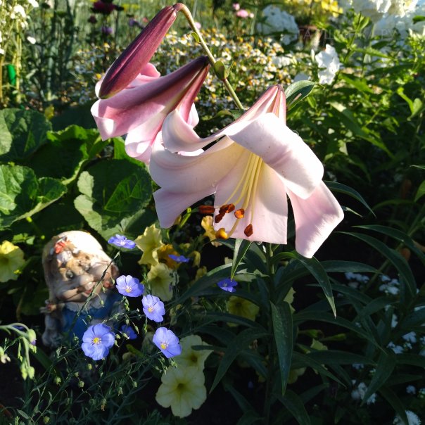 превью изображения отзыва