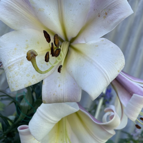 превью изображения отзыва