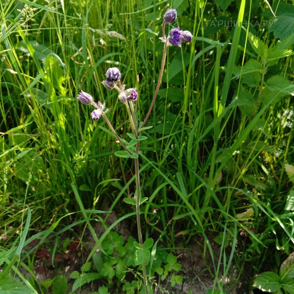 превью изображения отзыва