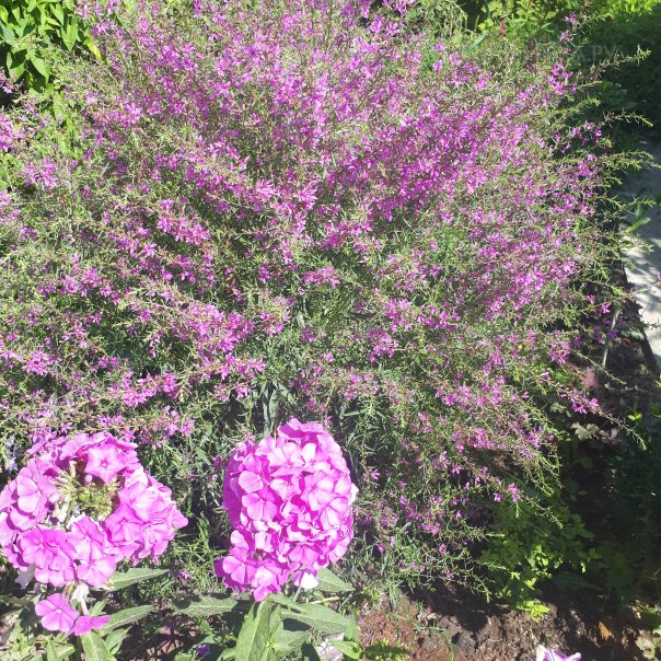 превью изображения отзыва