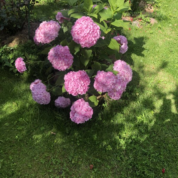 превью изображения отзыва