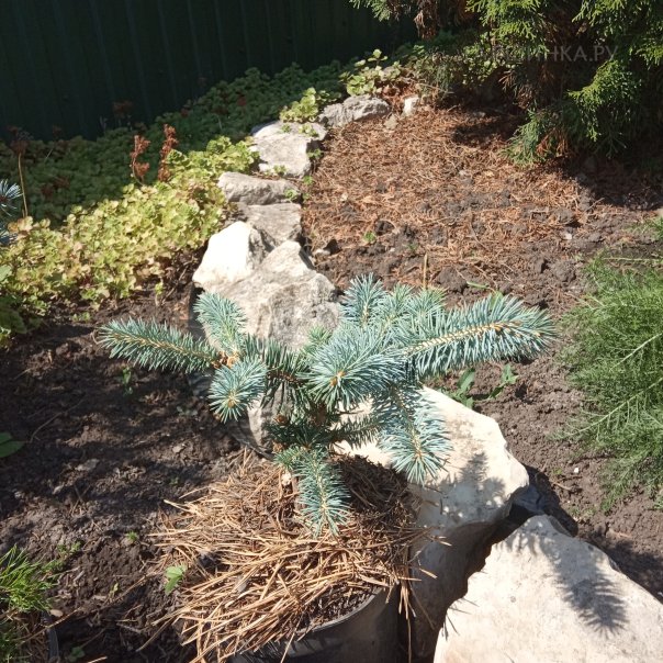 превью изображения отзыва