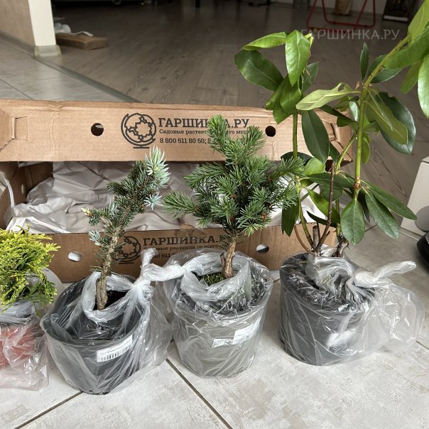 превью изображения отзыва