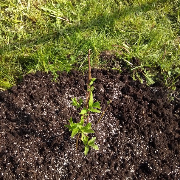 превью изображения отзыва