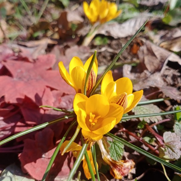 превью изображения отзыва