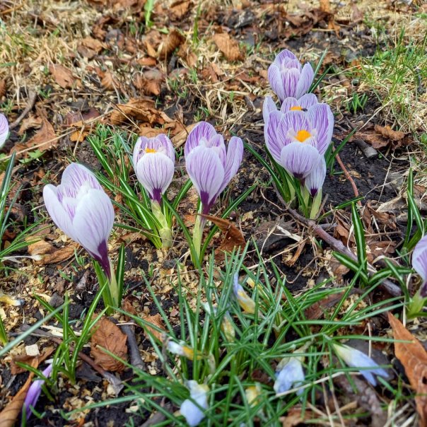 превью изображения отзыва