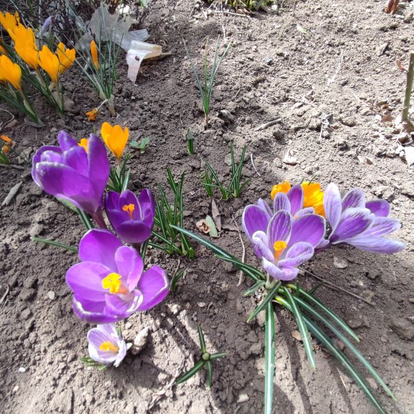 превью изображения отзыва