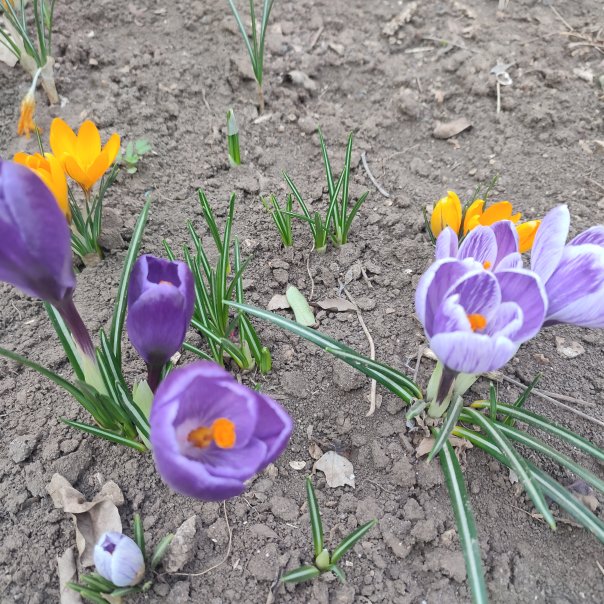 превью изображения отзыва