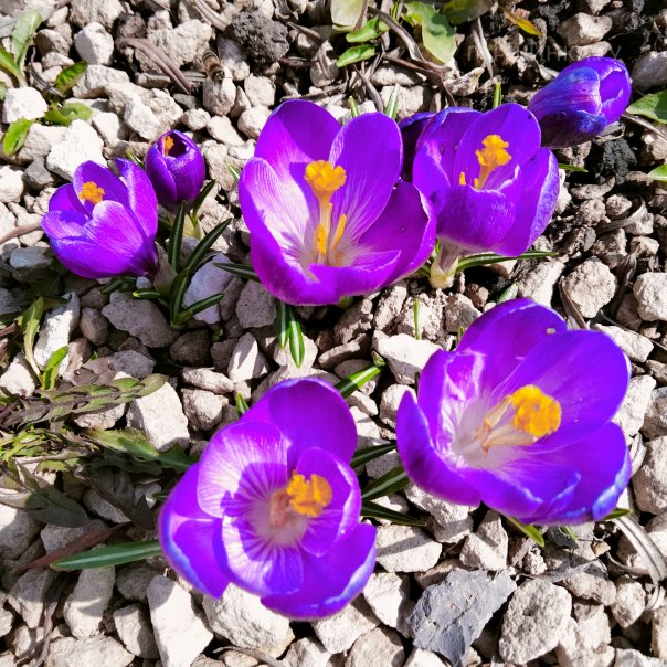 превью изображения отзыва