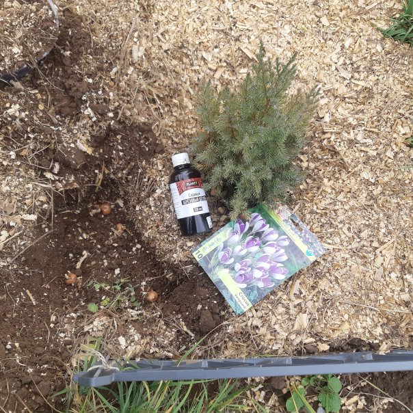 превью изображения отзыва