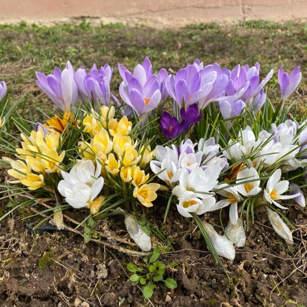 превью изображения отзыва