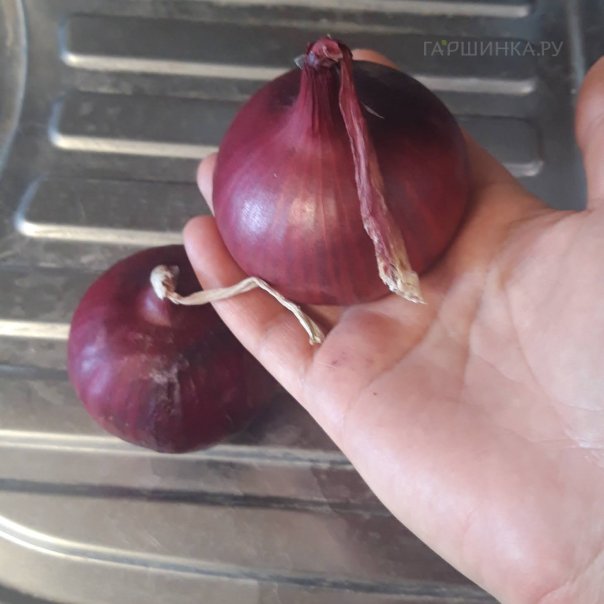 превью изображения отзыва