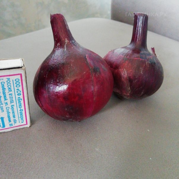 превью изображения отзыва