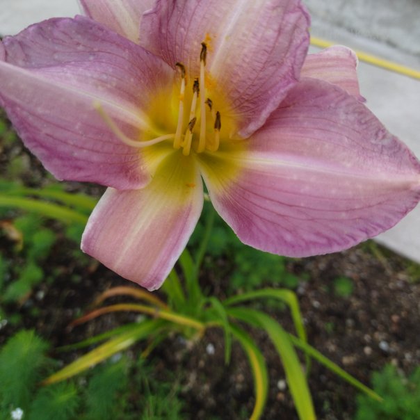 превью изображения отзыва