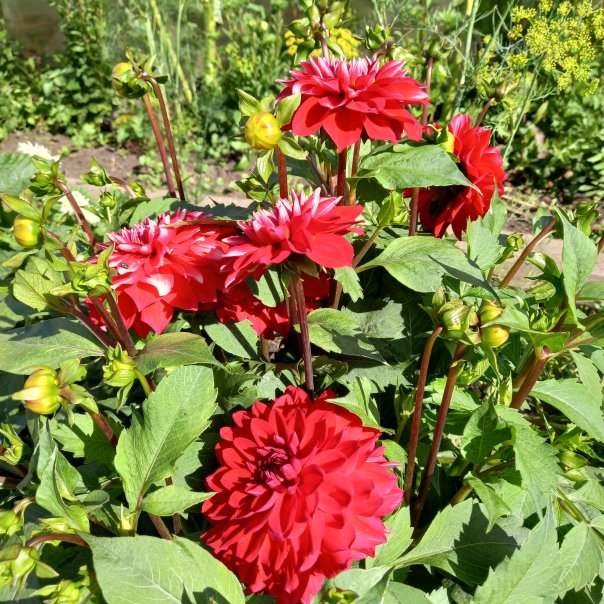 превью изображения отзыва