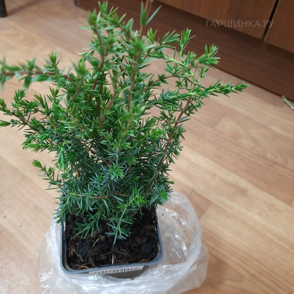 превью изображения отзыва