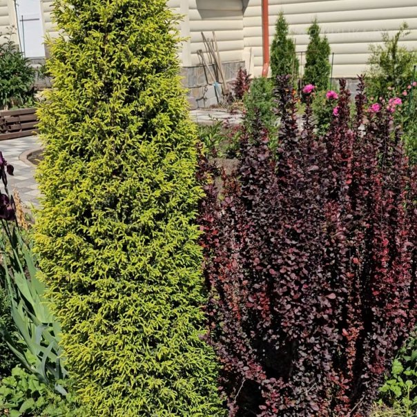 превью изображения отзыва