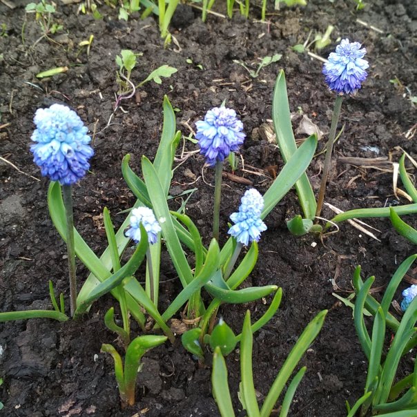 превью изображения отзыва