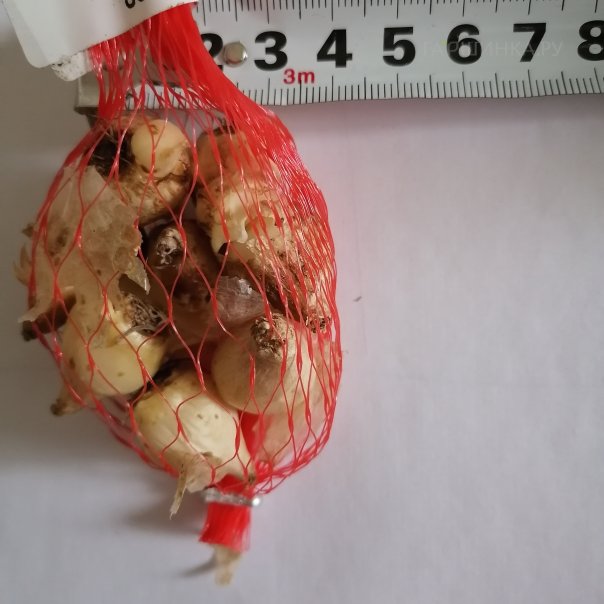 превью изображения отзыва