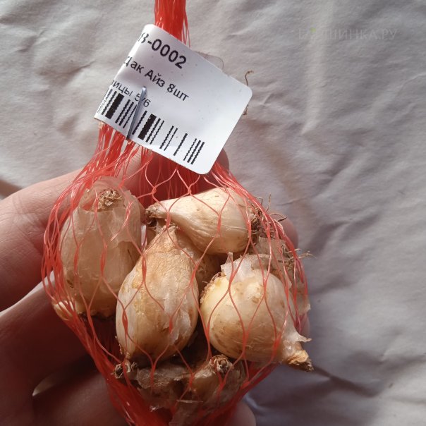 превью изображения отзыва