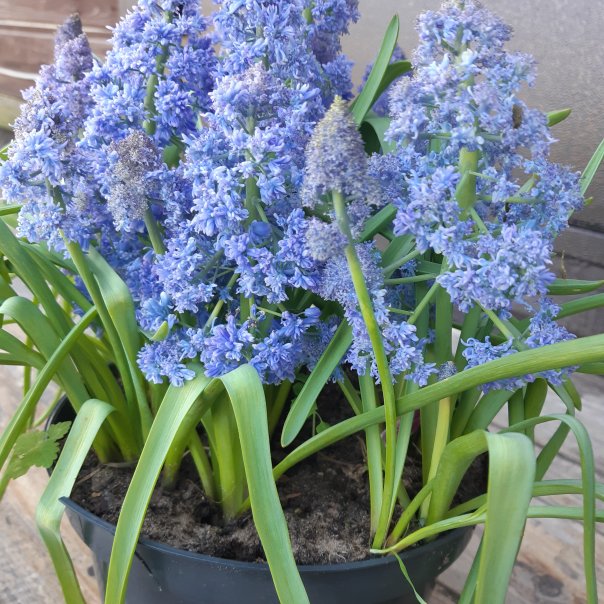 превью изображения отзыва