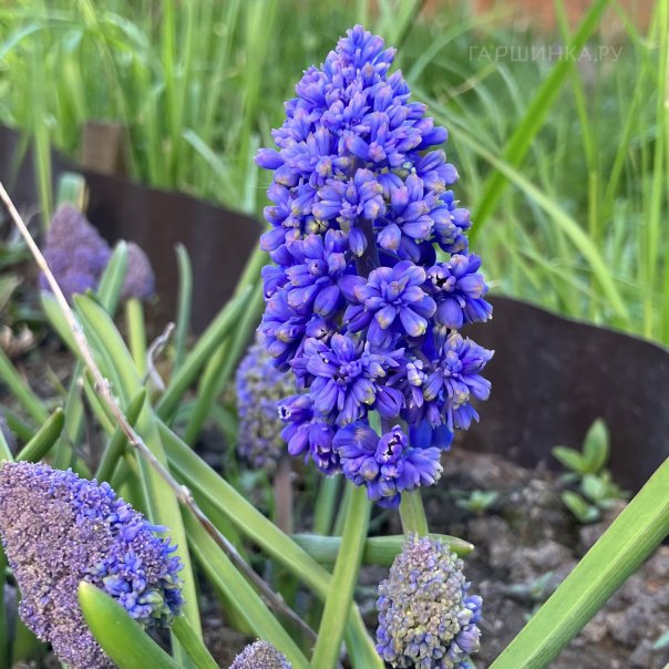 превью изображения отзыва