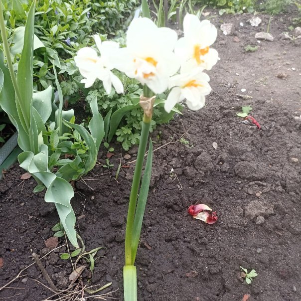 превью изображения отзыва