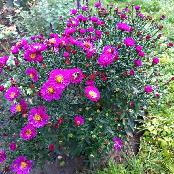 превью изображения отзыва