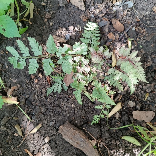 превью изображения отзыва