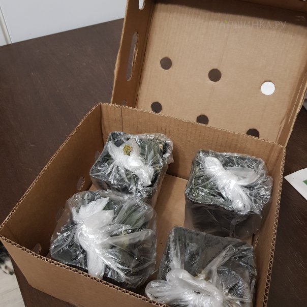 превью изображения отзыва