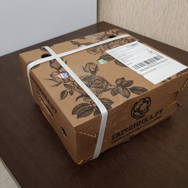 превью изображения отзыва