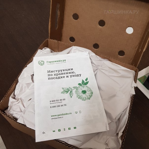 превью изображения отзыва