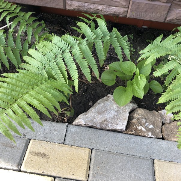 превью изображения отзыва