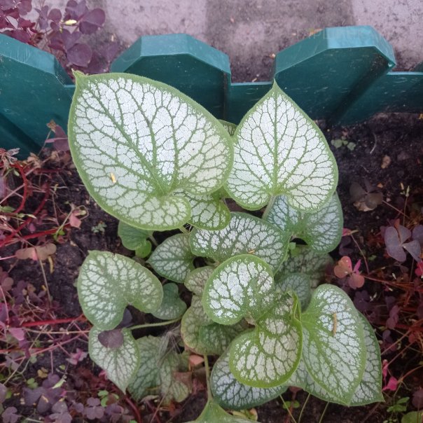 превью изображения отзыва