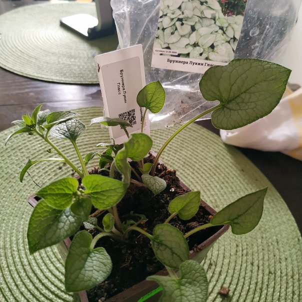 превью изображения отзыва