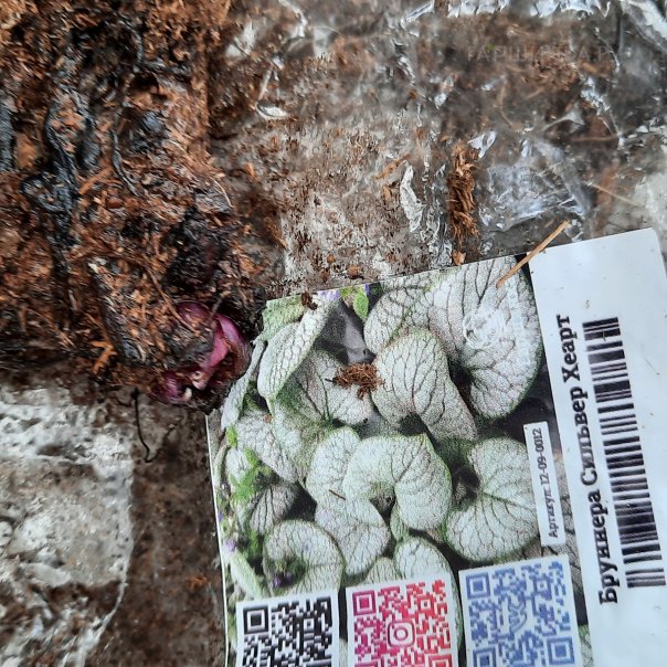 превью изображения отзыва