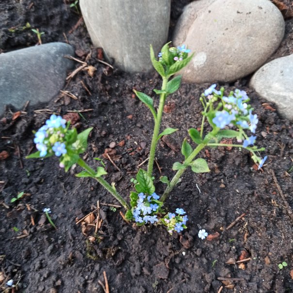 превью изображения отзыва
