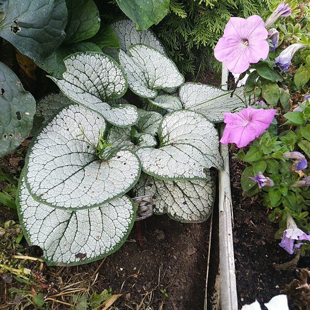 превью изображения отзыва