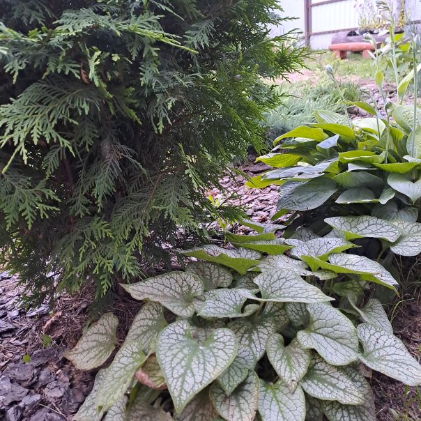 превью изображения отзыва