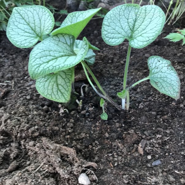 превью изображения отзыва