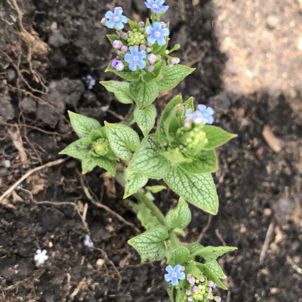 превью изображения отзыва